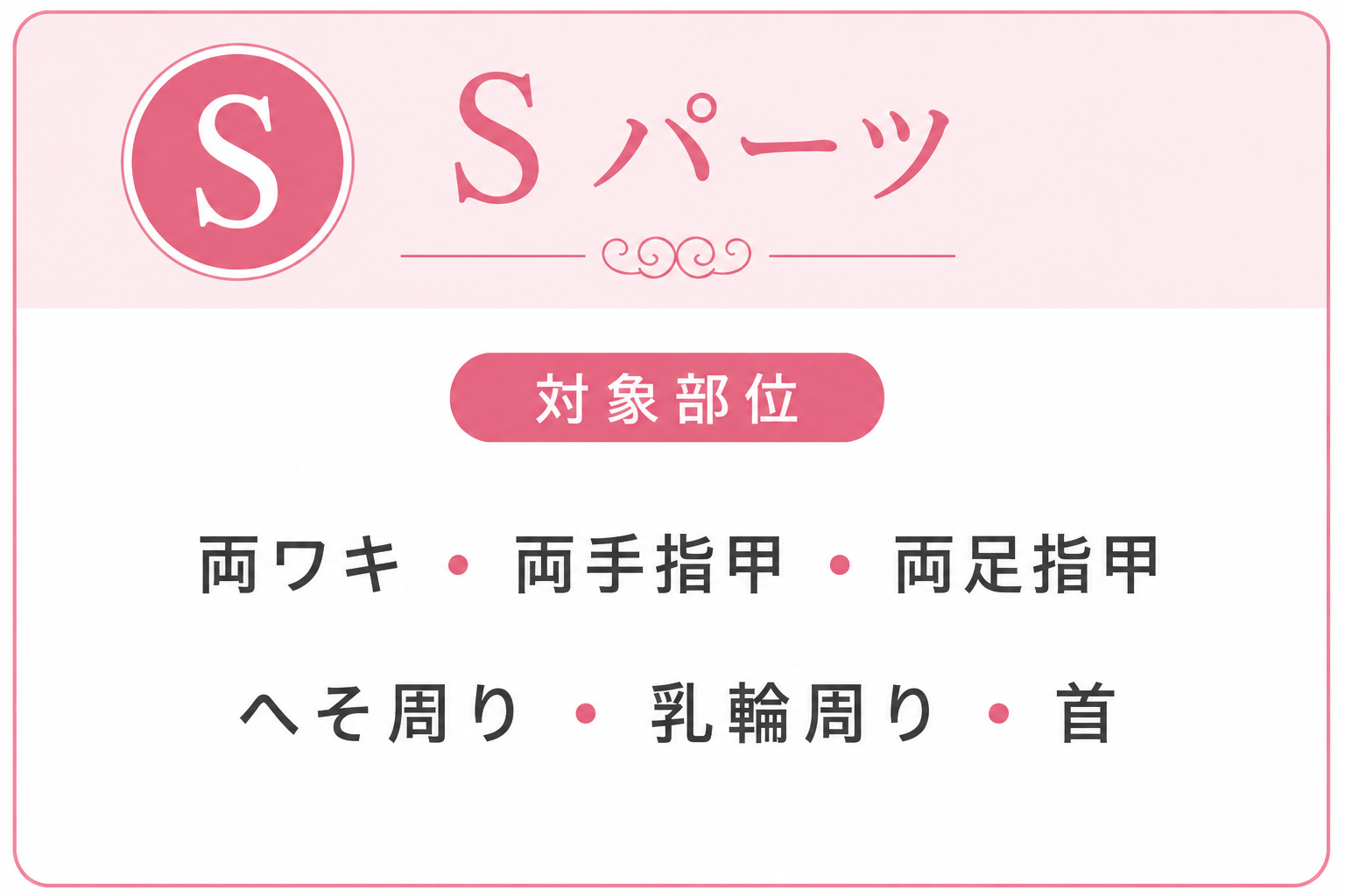 脱毛サロンbibi メンズ脱毛 Sパーツの対象部位