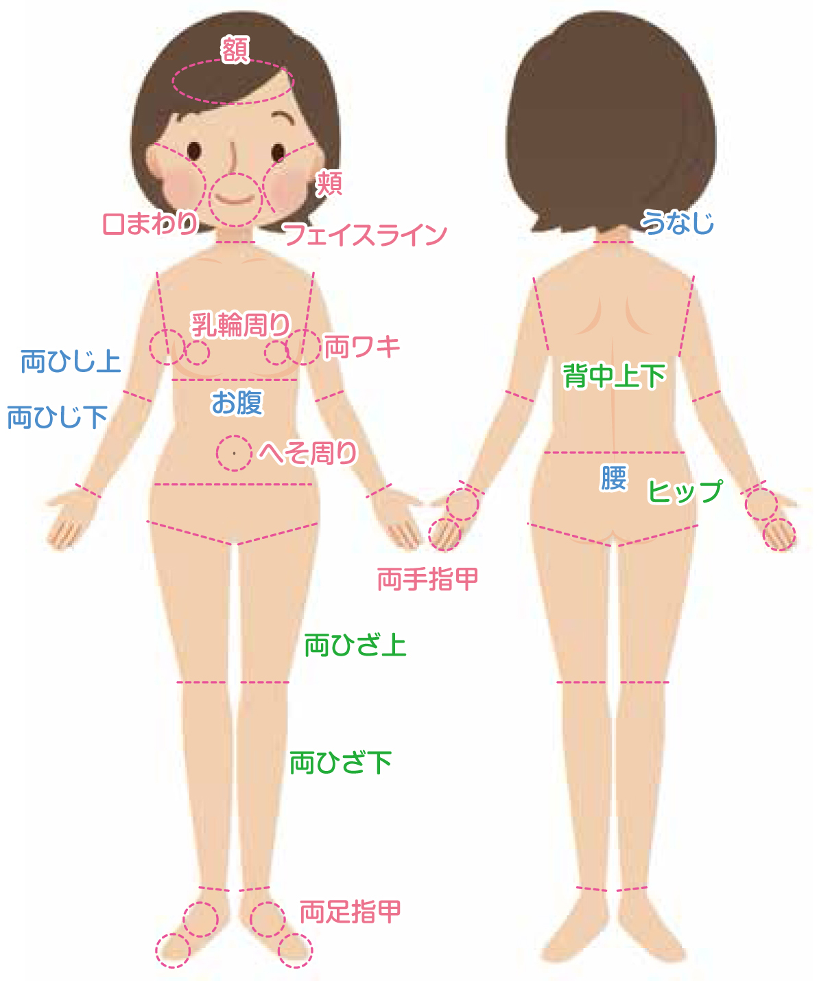 練馬・大泉学園の脱毛サロンbibi キッズ脱毛の部位別パーツ一覧