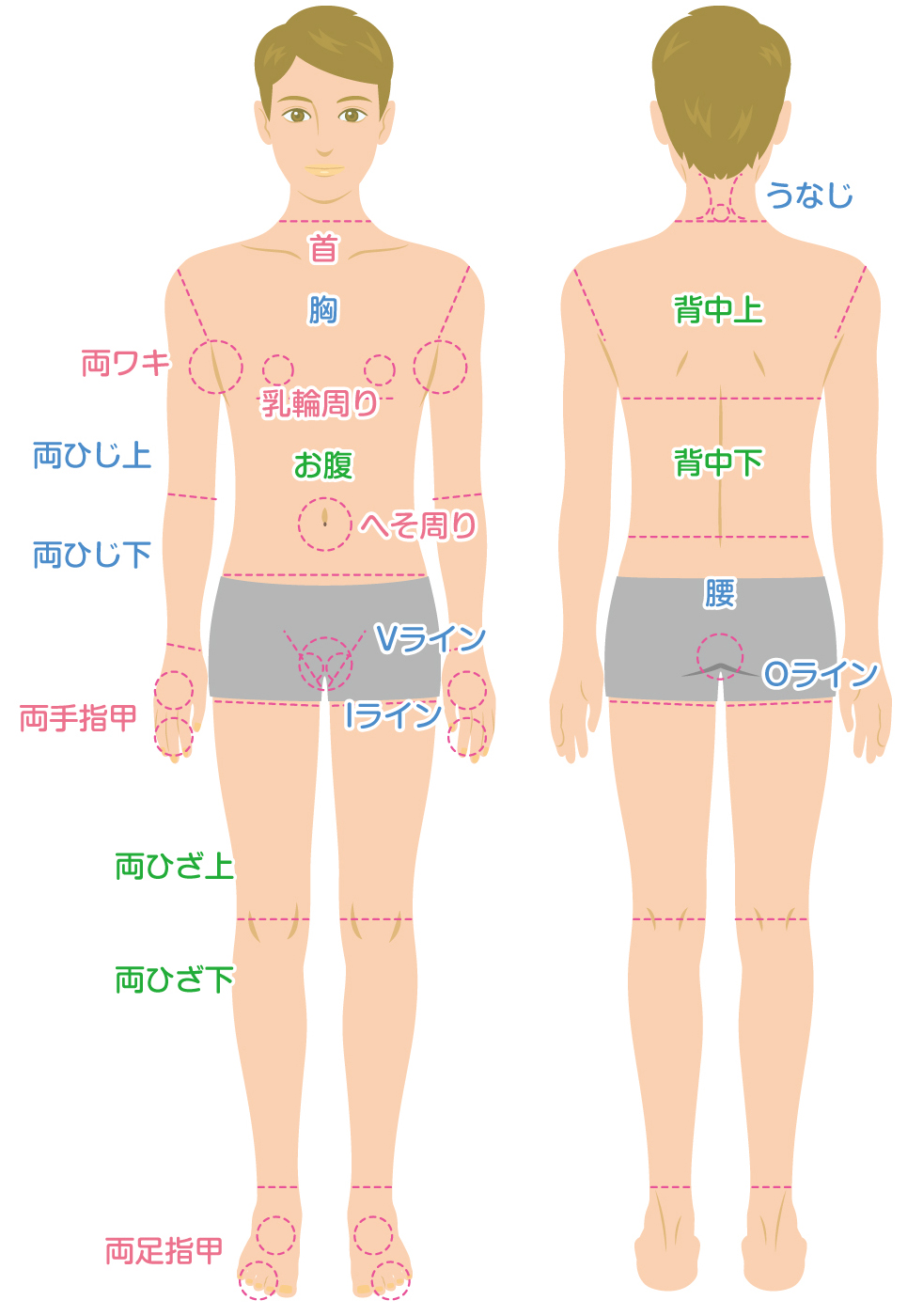 練馬・大泉学園の脱毛サロンbibi メンズ脱毛の部位別パーツ一覧
