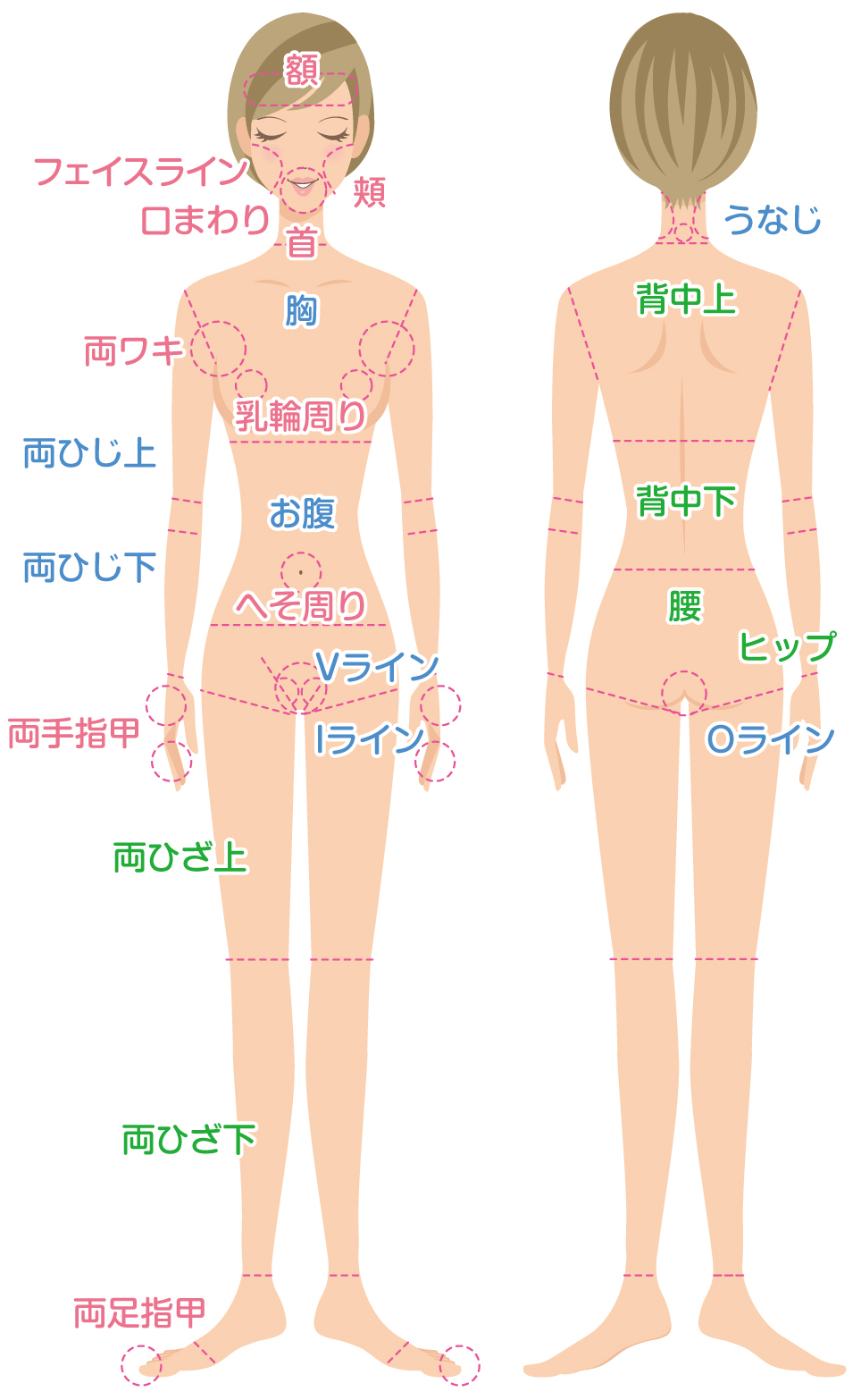 脱毛サロンbibi S・M・Lパーツの対象部位一覧